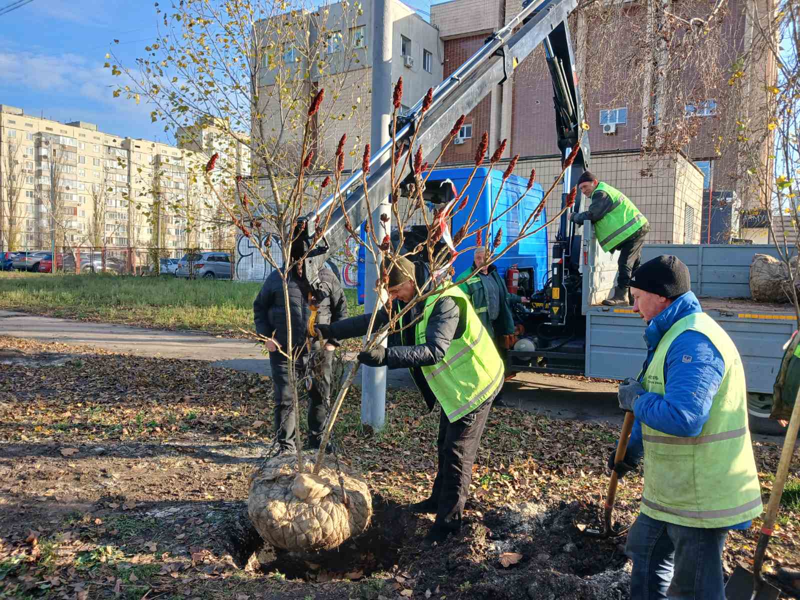 У Деснянському та Дніпровському районах висадили нові дерева