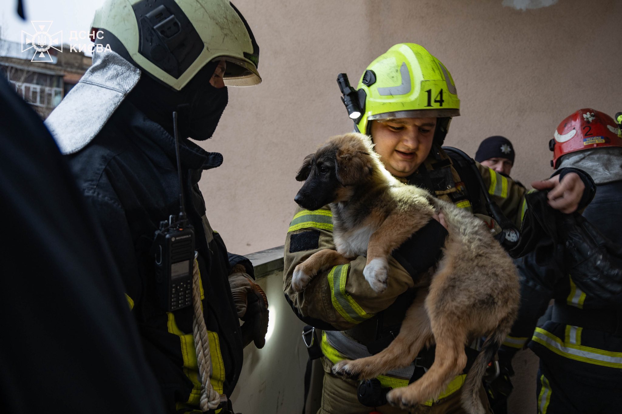 Пожежа у багатоповерхівці в центрі Києва: попередньо, вибухнула зарядна станція