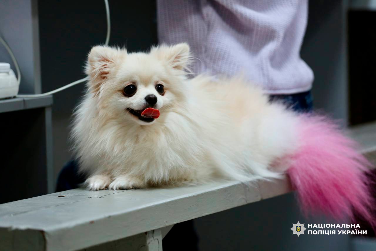 В управліннях поліції Києва працюють Пункти Незламності