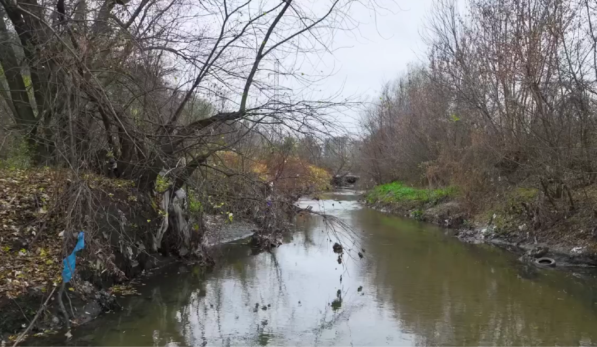 Біля Видубичів у Києві розчистили русло річки Либідь: фото