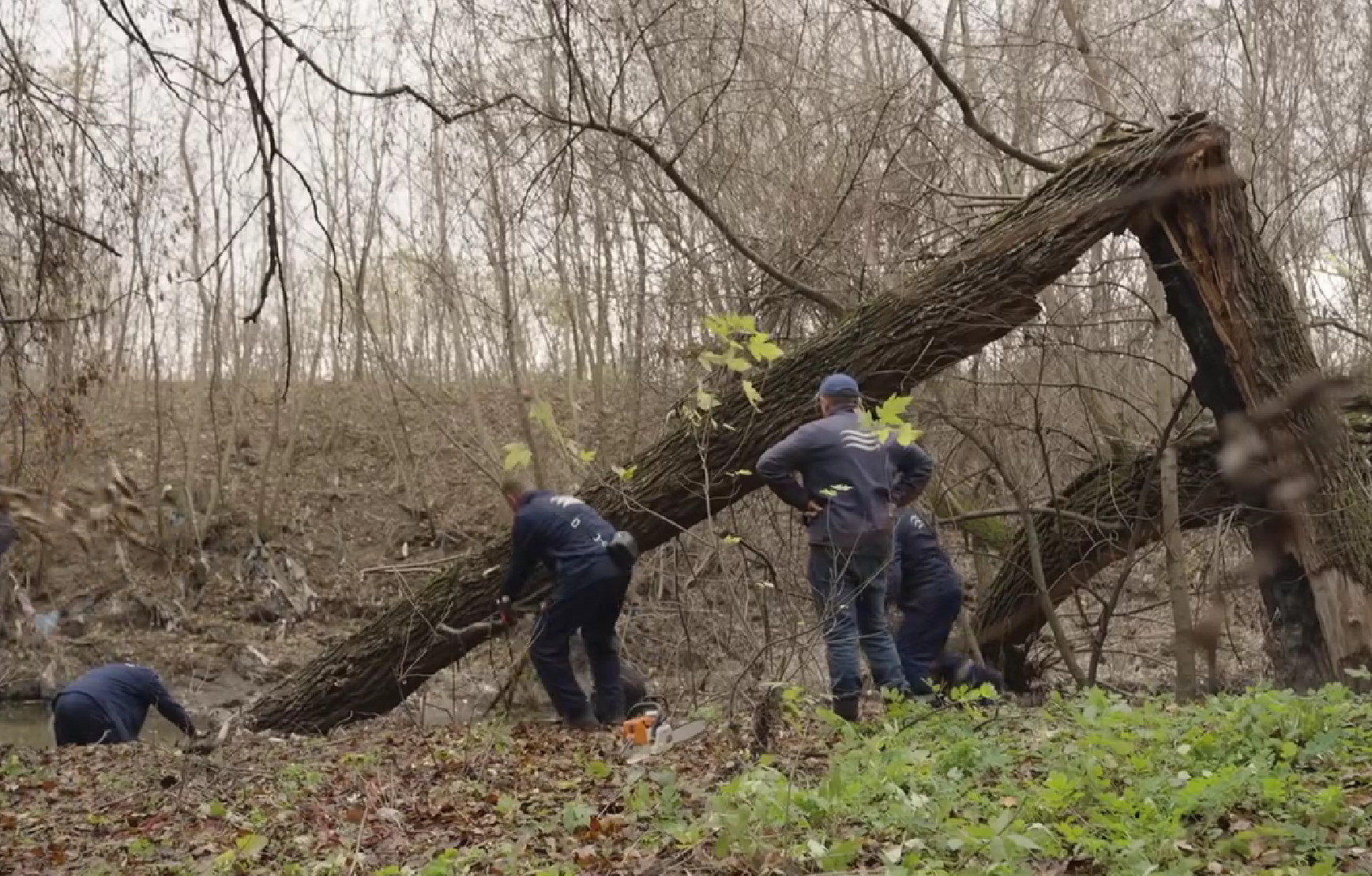 Біля Видубичів у Києві розчистили русло річки Либідь