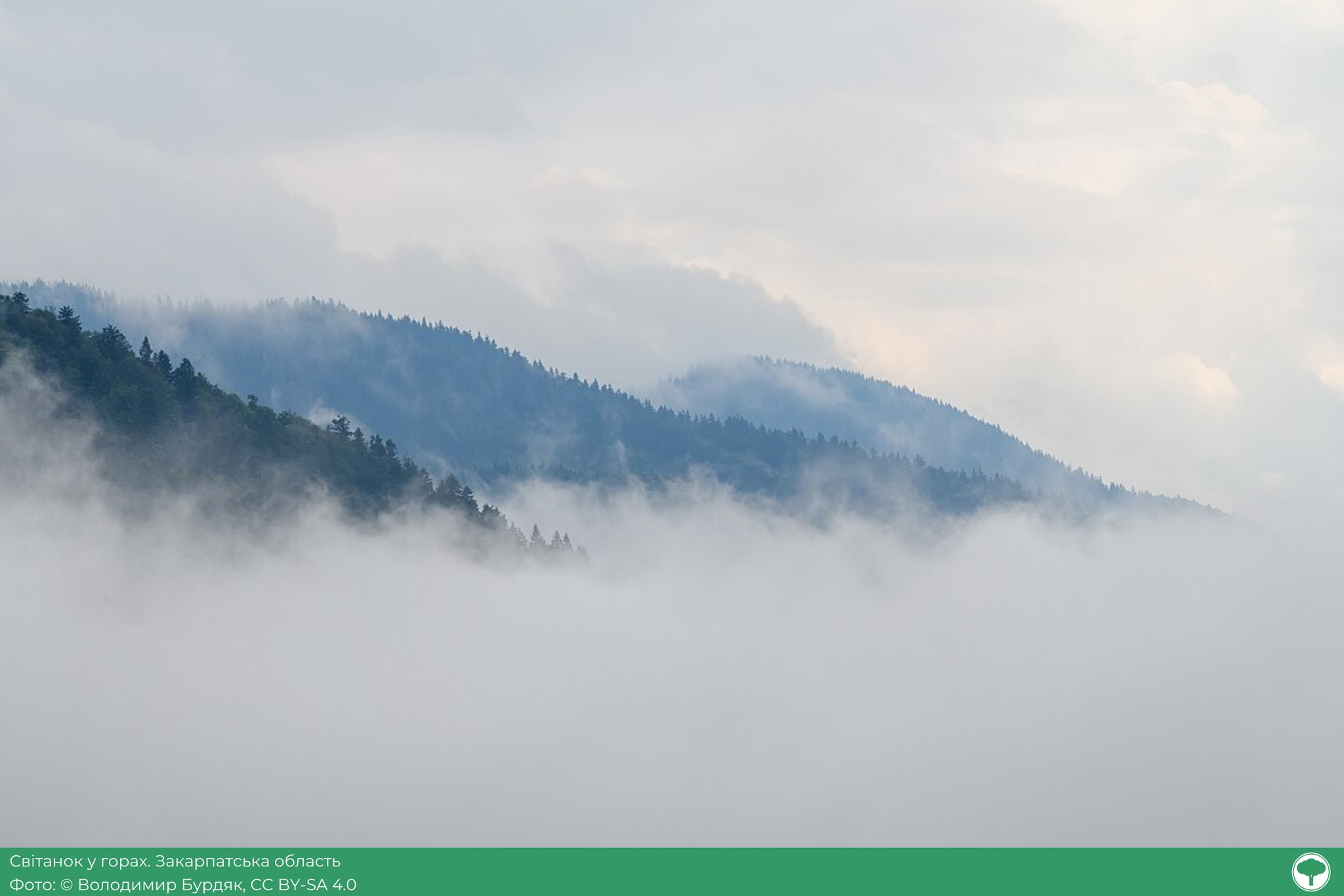 Фотоконкурс "Вікі любить Землю": визначили найкращі світлини української природи