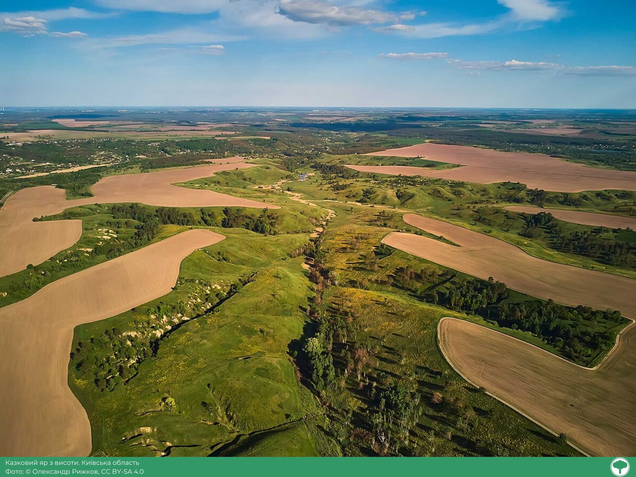 Фотоконкурс "Вікі любить Землю": визначили найкращі світлини української природи