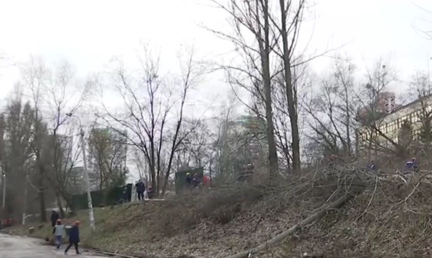 Киевляне восстали против вырубки сквера под строительство (видео)