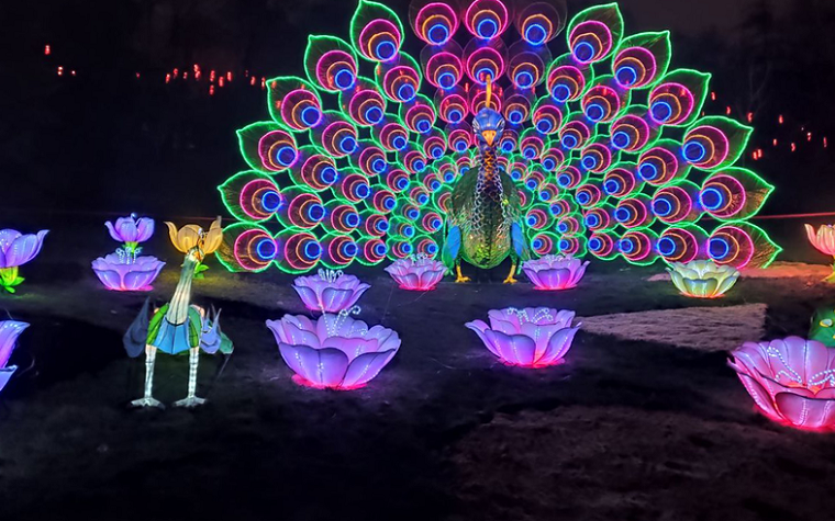 На Певческом поле открылся фестиваль китайских фонарей (фото)