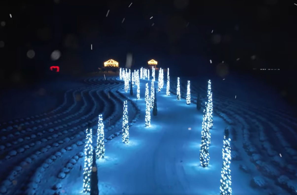 У Добропарку відкриють новорічний парк ілюмінації: коли, що там буде