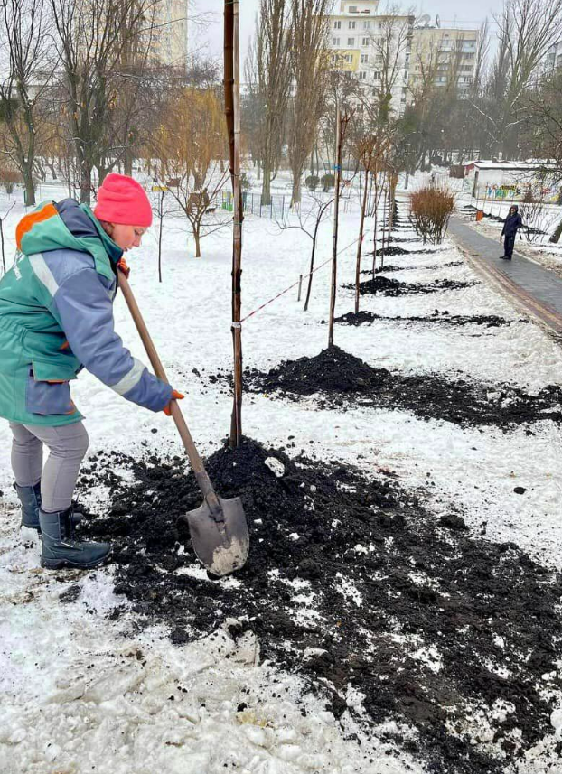 Клени кулястої форми посадили у парку "Орлятко"