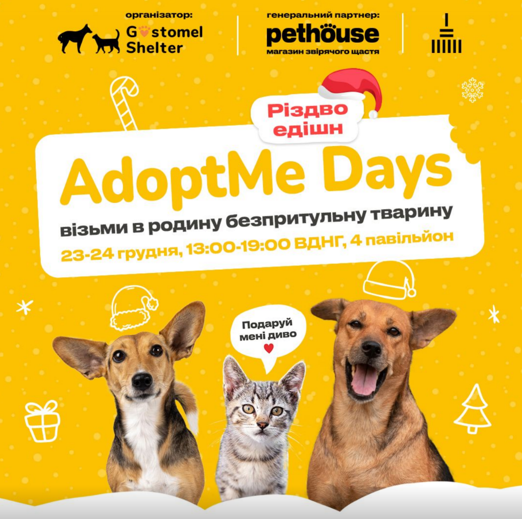 Різдвяний Adopt Me Days на ВДНГ 23-24 грудня