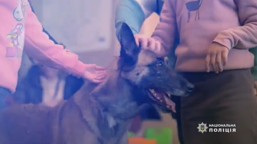 Поліцейська вівчарка Кейт з Києва стала однією з кращих службових собак України