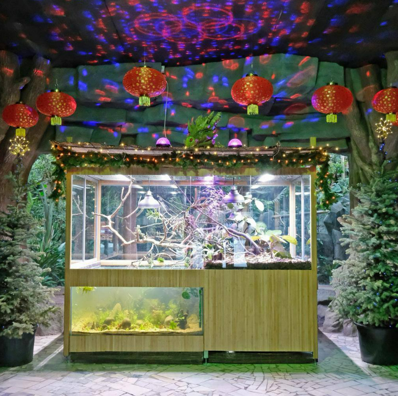У Київському зоопарку відкрили експозицію з драконами