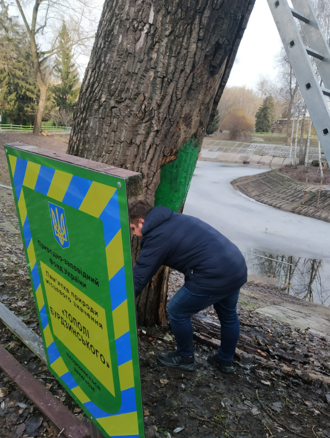 На території Київського зоопарку провели лікування вікових дерев