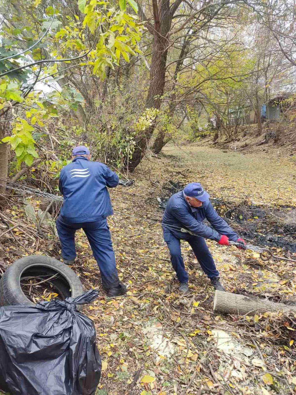 У Дарницькому районі Києва очистили озеро Зариваха: фото