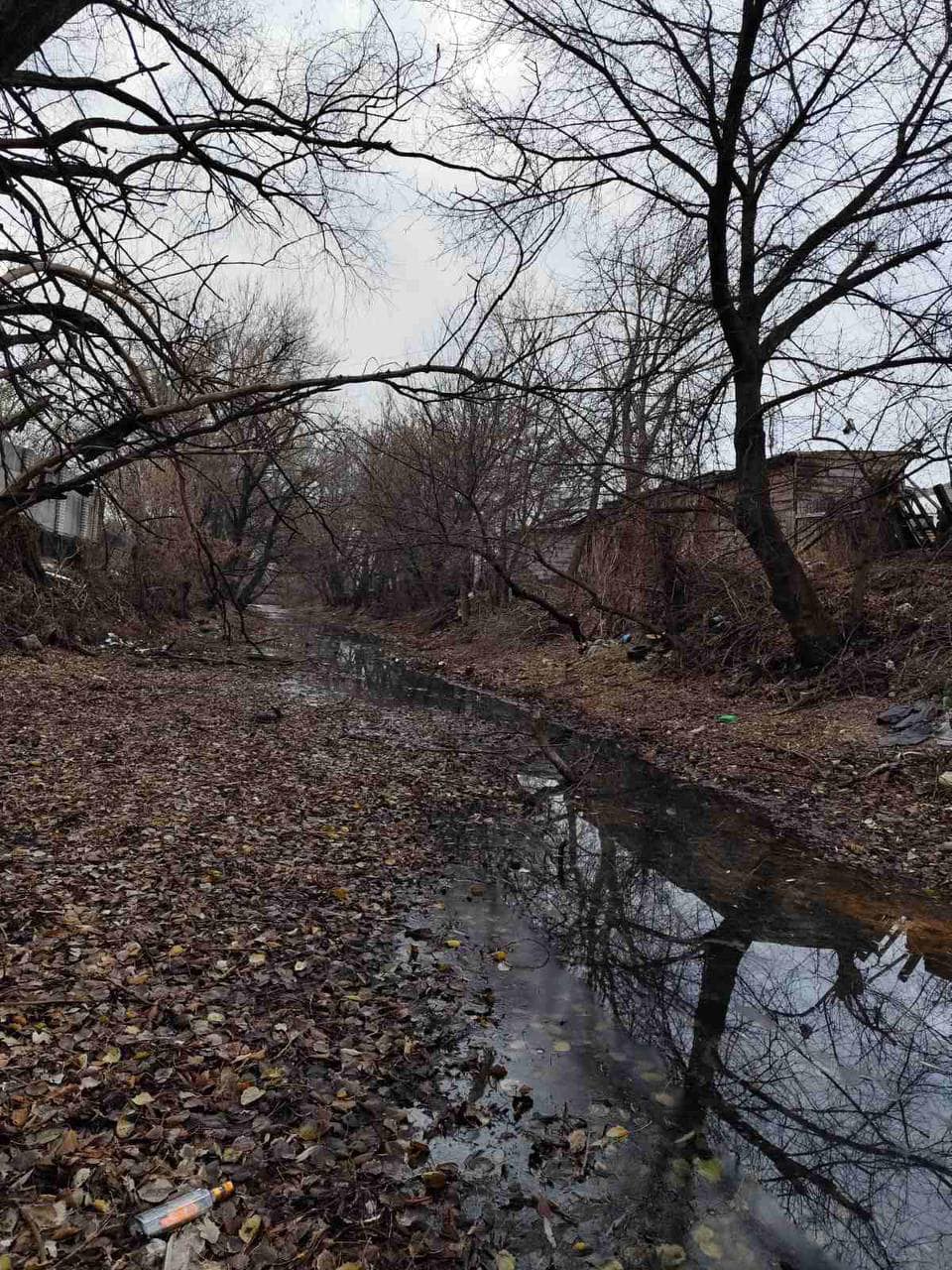 У Дарницькому районі Києва очистили озеро Зариваха: фото