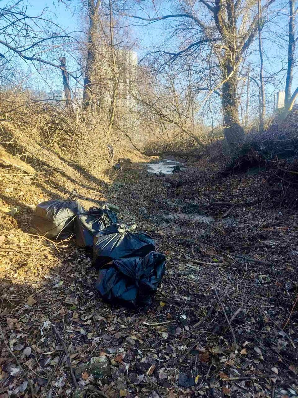 У Дарницькому районі Києва очистили озеро Зариваха: фото