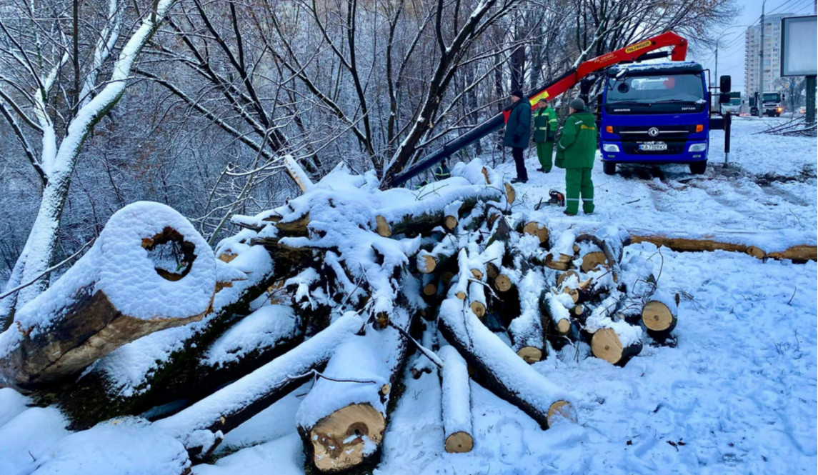 У Києві біля парку Совські ставки прибрали аварійні дерева