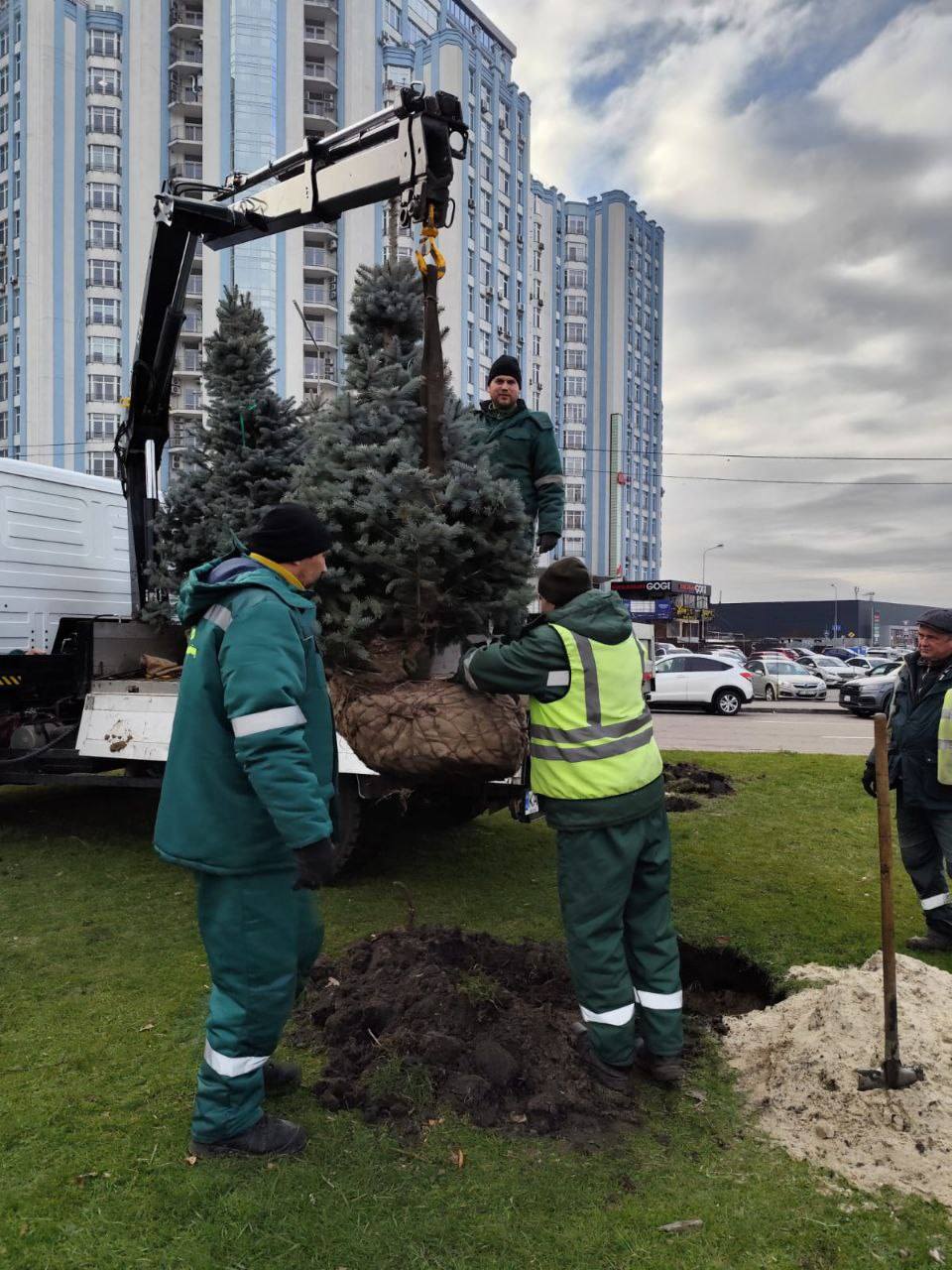 Біля станції метро “Осокорки” у Києві висадили ялини та сосни: фото