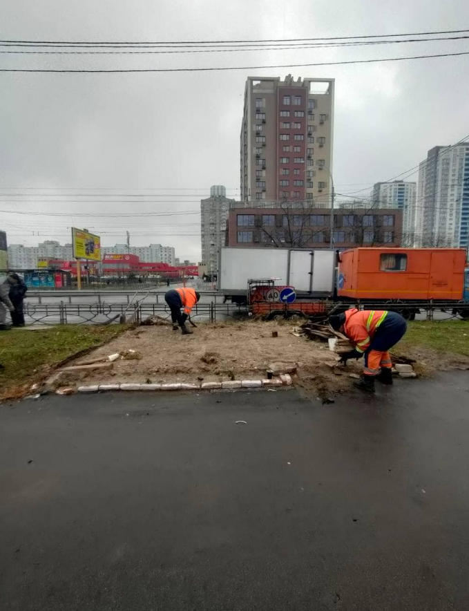 На Оболоні під час демонтажу МАФів знайшли їжаків: фото