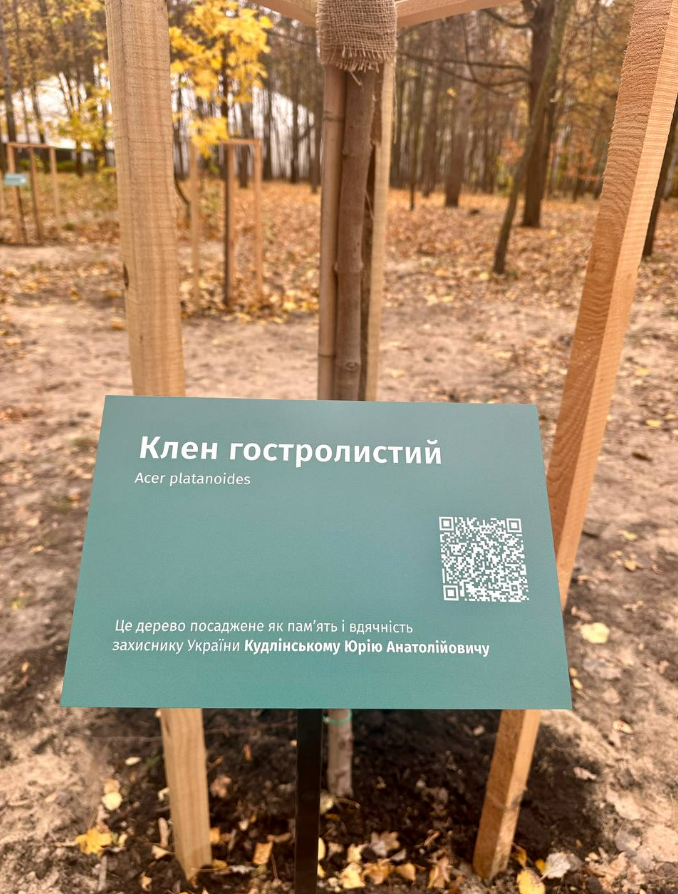 У Києві в парку "Совки" дружини полеглих воїнів посадили клени у пам'ять про коханих.