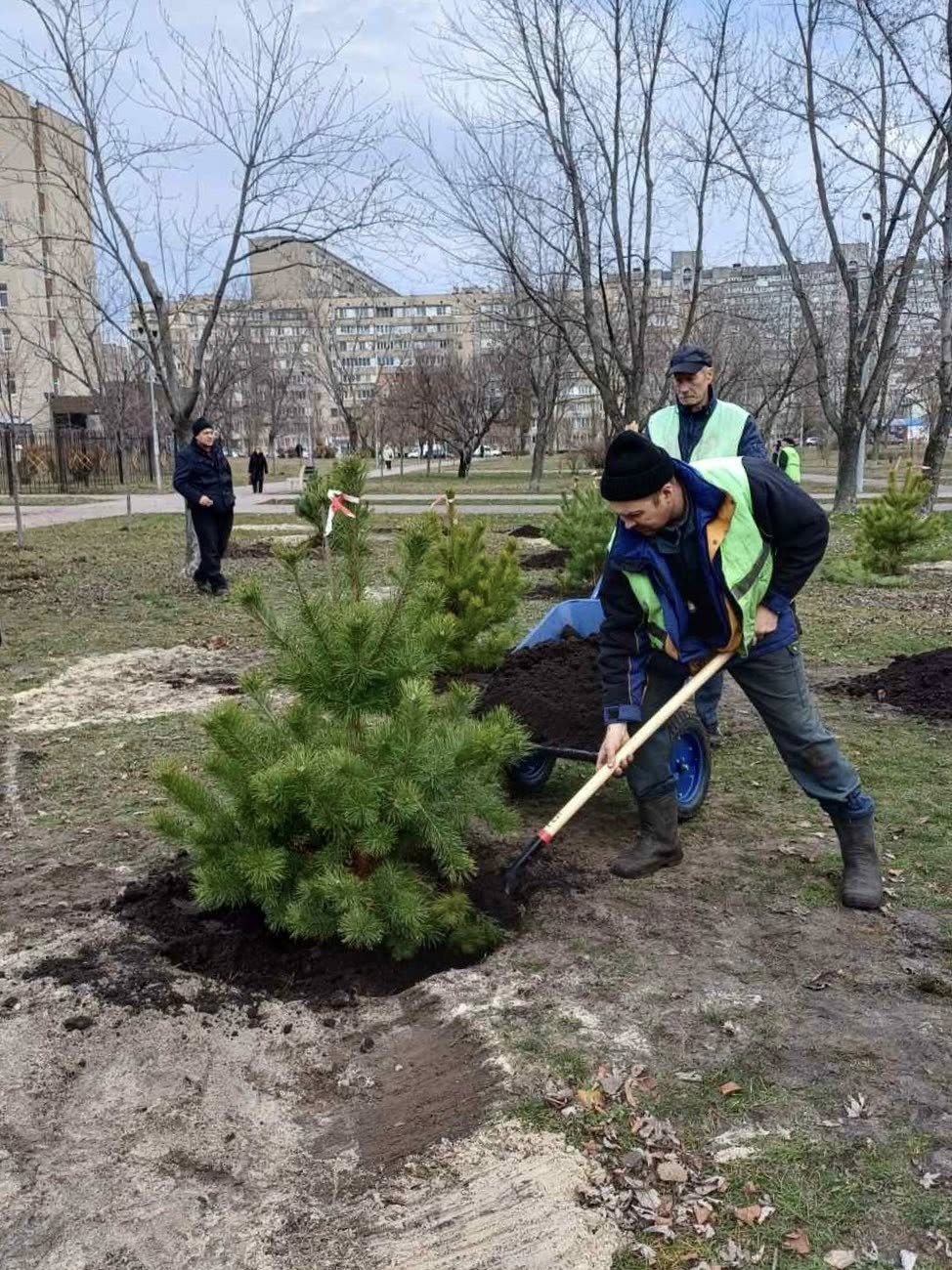 У двох парках Деснянського району в Києві висадили сосни: фото