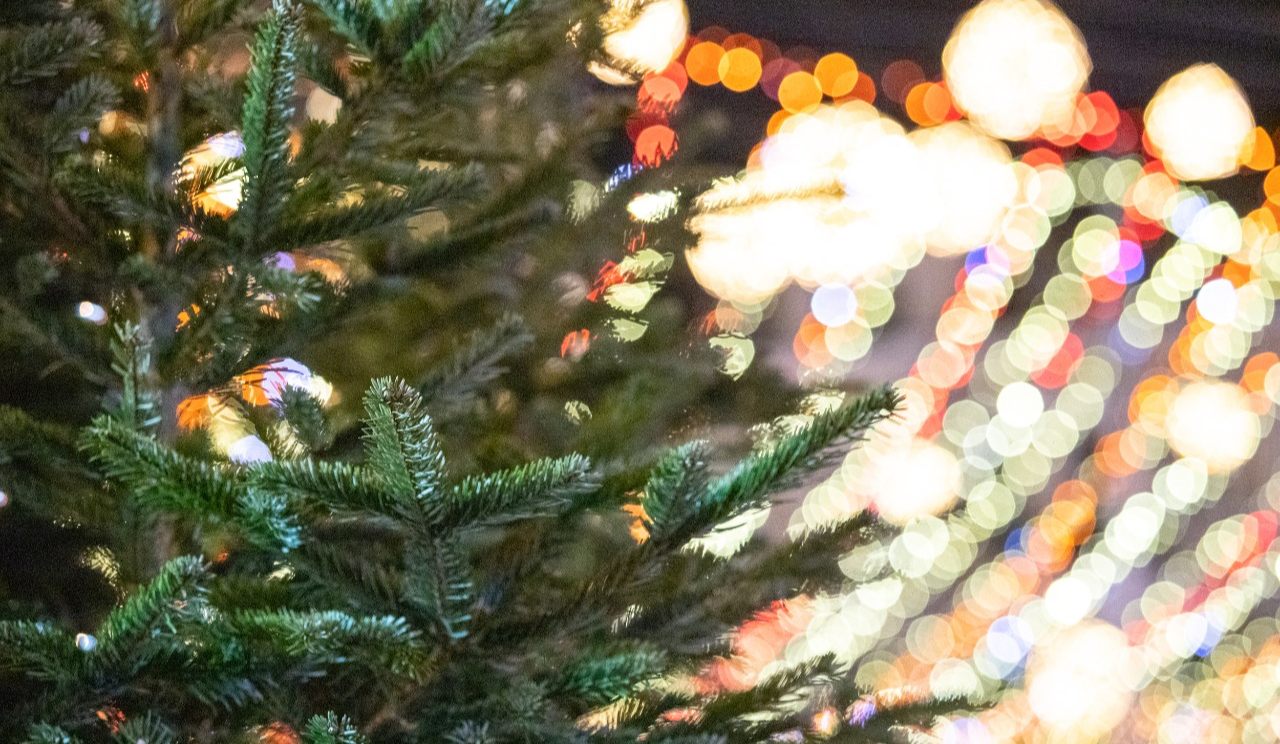 У столиці проведуть 5 тематичних екскурсій до Дня святого Миколая: реєстрація