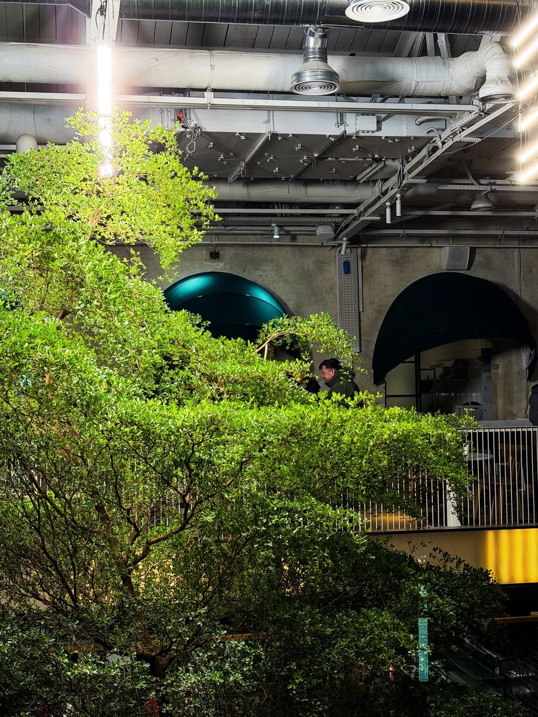 Kyiv Food Market повертається оновленим після реконструкції Kyiv Food Market повертається оновленим після реконструкції