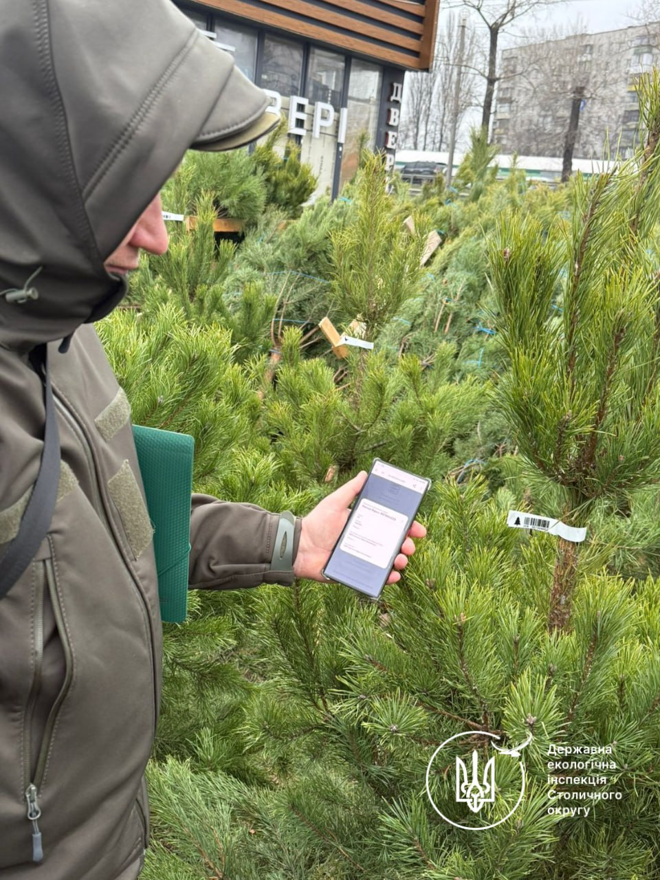 У Києві перевіряють ялинкові ярмарки: які штрафи за незаконну торгівлю