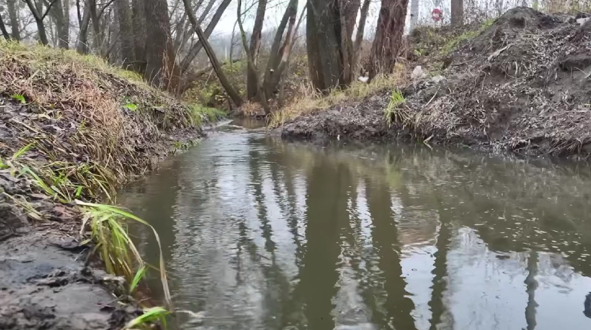 У Києві розчистили річку Віта
