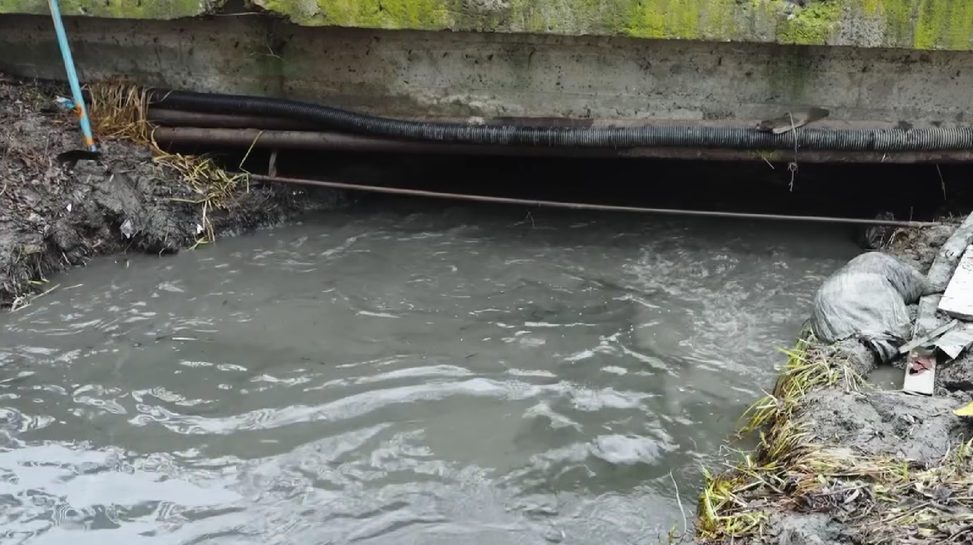 У Києві розчистили річку Віта