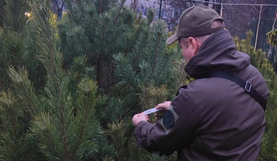 У столиці перевіряють ялинкові ярмарки: які штрафи за незаконну торгівлю