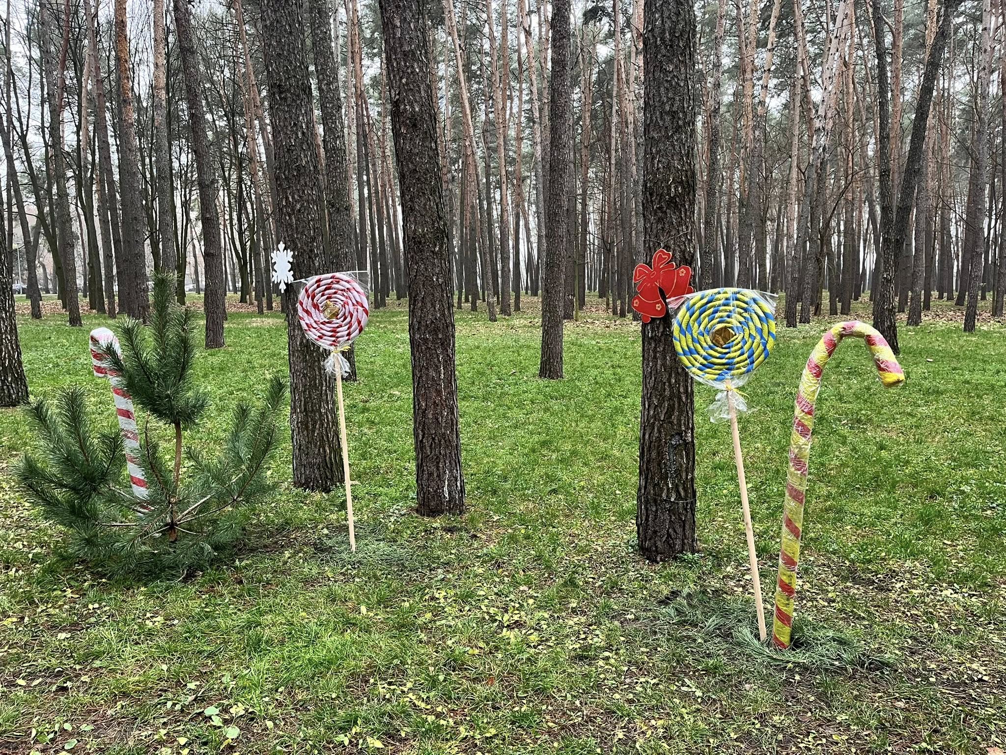 У парку "Совки" в Києві облаштували новорічні фотозони: як вони виглядають