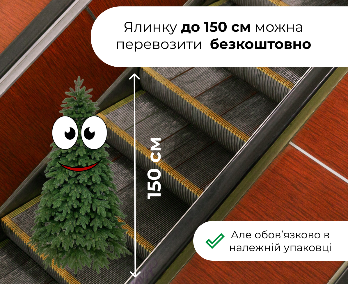 Як перевезти ялинку в метро
