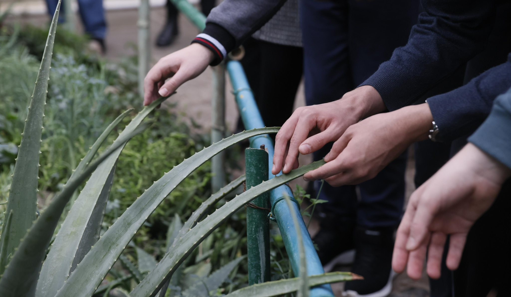 У столиці розробляють спеціальні екскурсії для людей з порушенням зору: що відомо