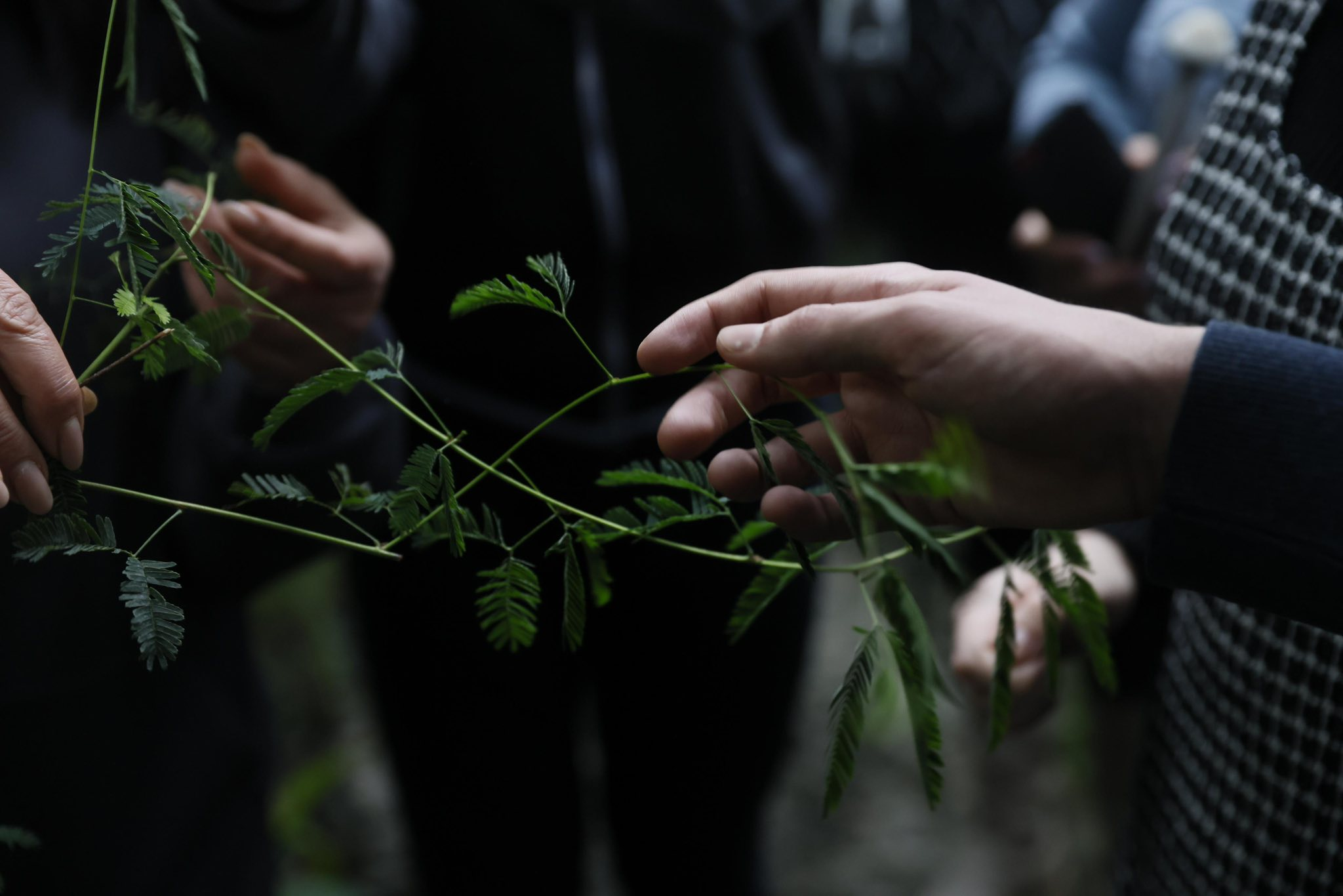 У Києві розробляють спеціальні екскурсії для людей з порушенням зору: що відомо