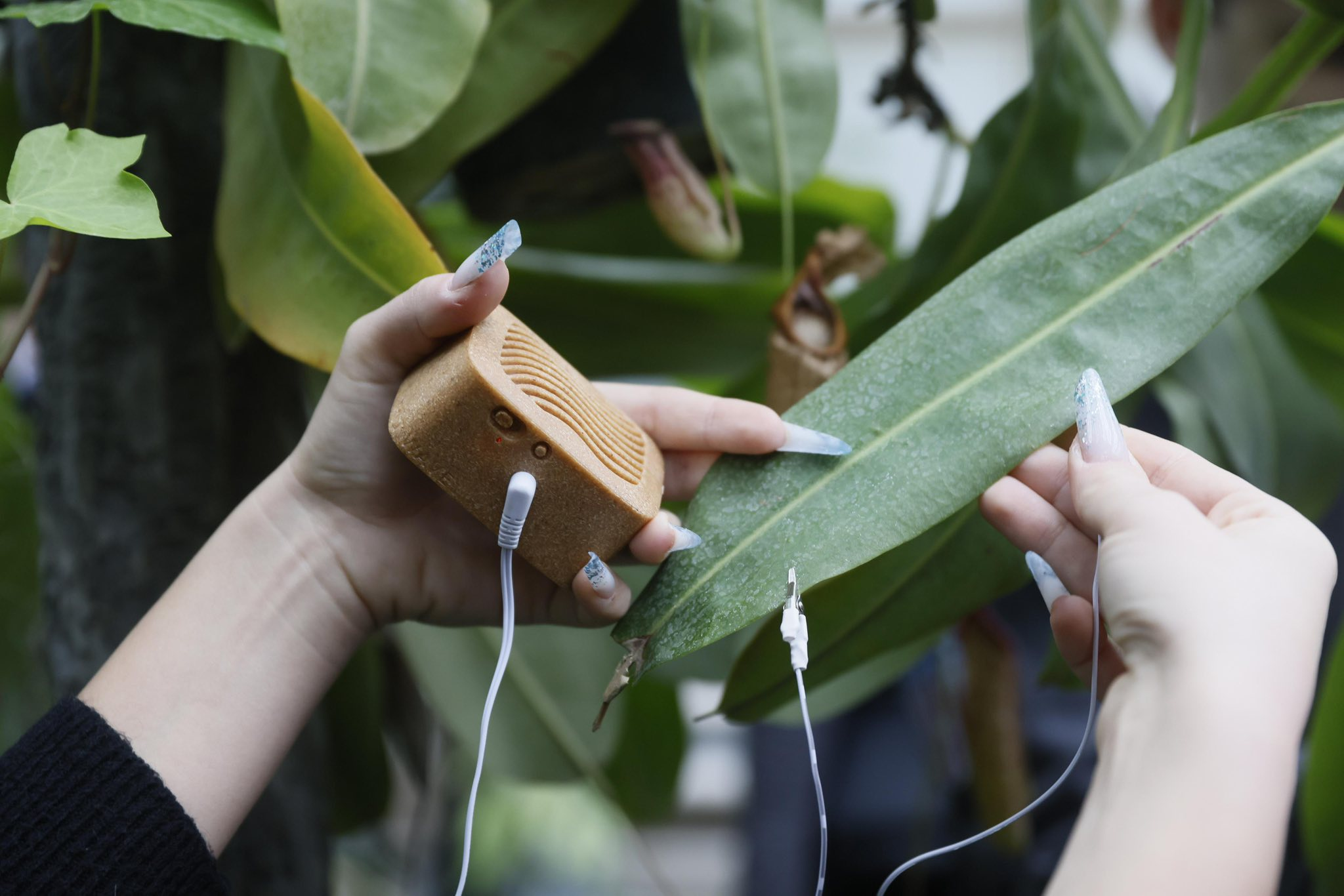 У Києві розробляють спеціальні екскурсії для людей з порушенням зору: що відомо