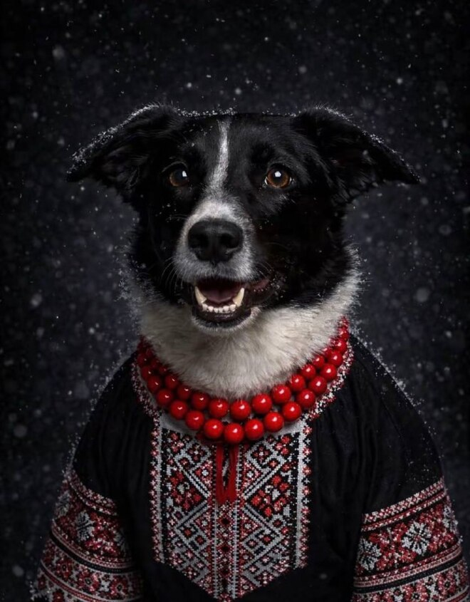 Джерело: TikTok vladazvoshchyk