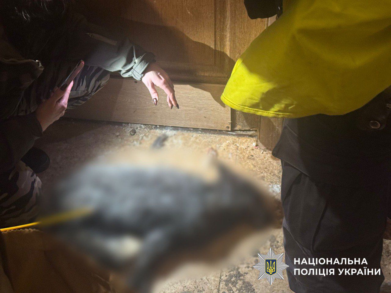 В квартирі на Оболоні у Києві, де утримували вовка, знайшли також тіло лисиці: деталі