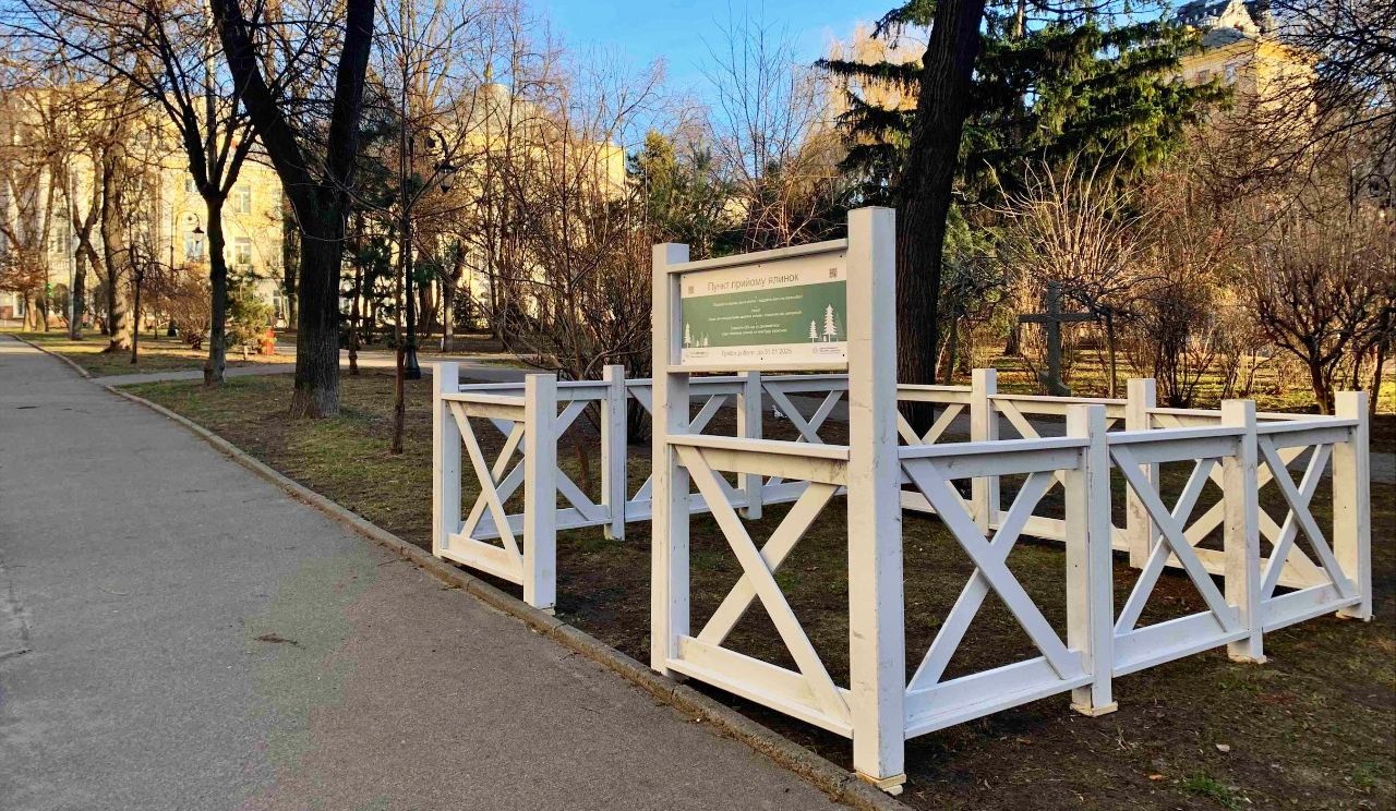 У січні в Києві запрацюють пункти прийому новорічних дерев: перелік адрес