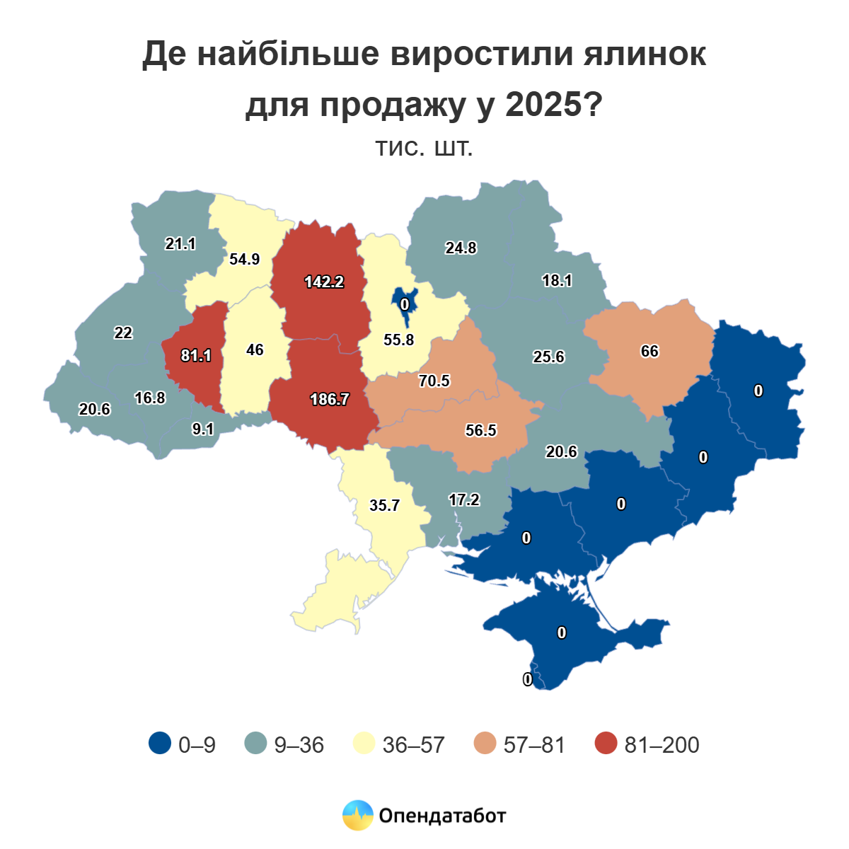 Ялинковий сезон 2025: в Україні зменшився попит на живі новорічні дерева