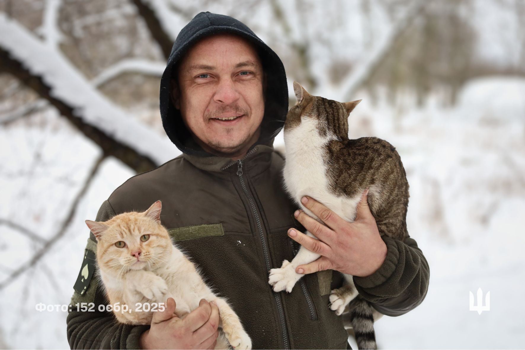 Як чотирилапі побратими допомагають військовим